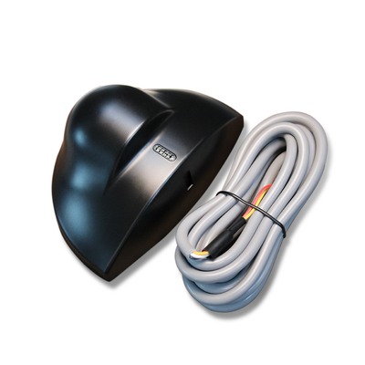 الاسم